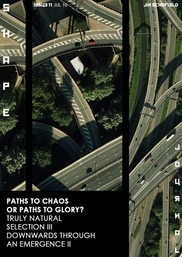 Issue 11 - Paths to Chaos or Paths to Glory / Truly Natural Selection / Downwards Through An Emergence
