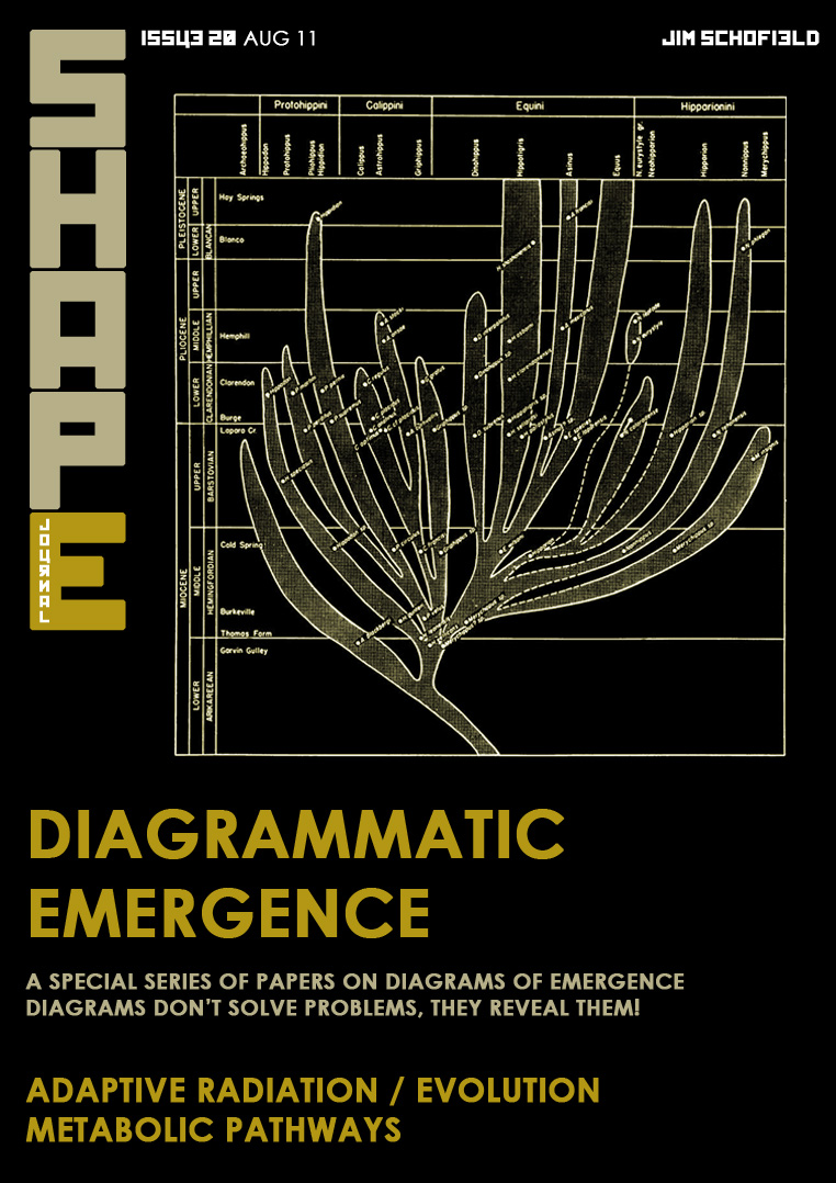 Shape Journal Issue 20  - Diagrammatic Emergence