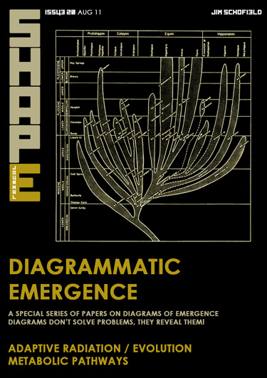 Issue 20 of SHAPE journal featuring articles on Emergence, Realisation and Evolution