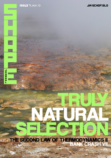 Issue 7 - Truly Natural Selection / The Second Law of Thermodynamics / Bank Crash
